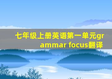 七年级上册英语第一单元grammar focus翻译